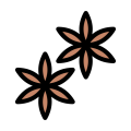 Star Anise