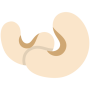 Cashew